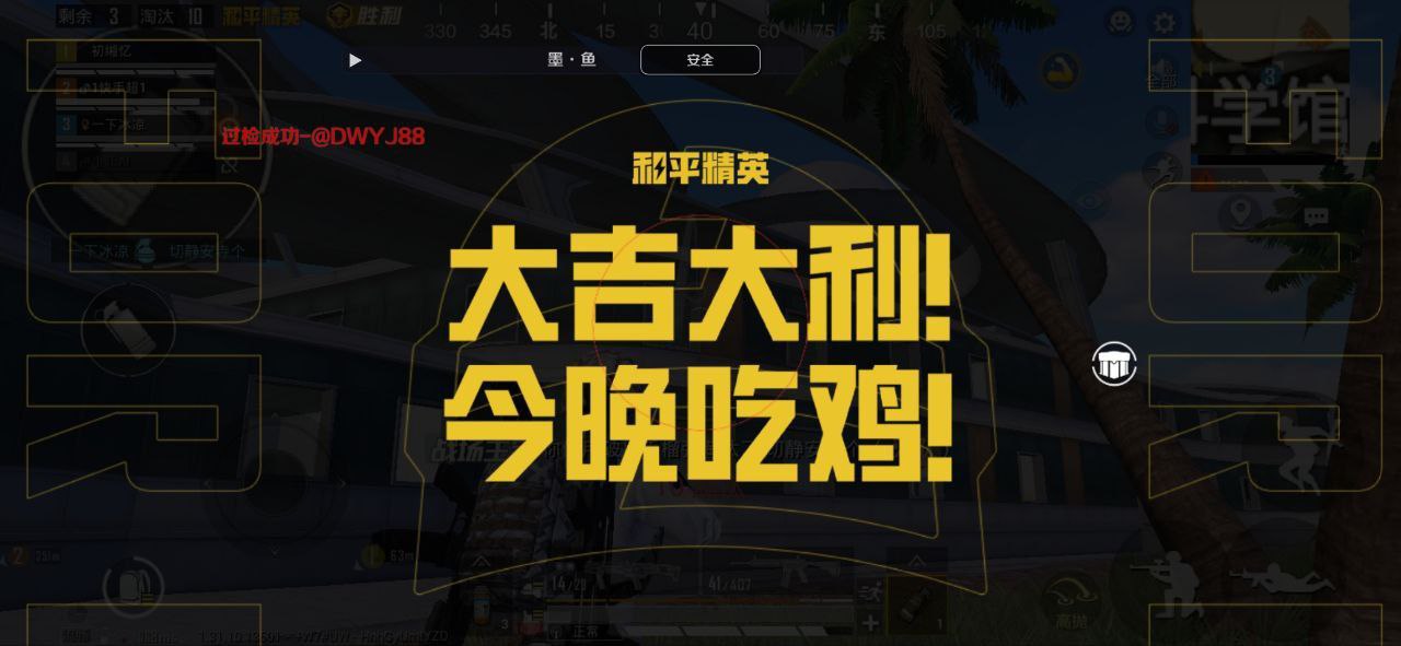 和平精英辅助【神女】